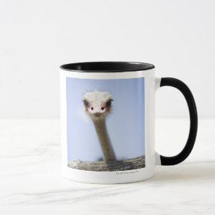 Caneca Feche acima da cabeça da avestruz