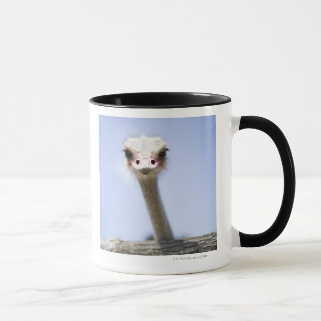 Caneca Feche acima da cabeça da avestruz (Direita)