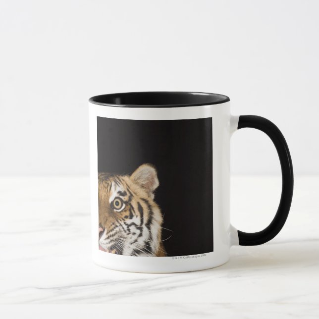 Caneca Feche acima da cara do tigre rujir (Direita)
