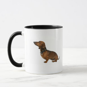 Caneca Feche acima de um dachshund