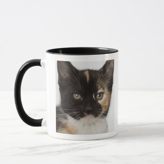 Caneca Feche acima do gatinho (Esquerda)