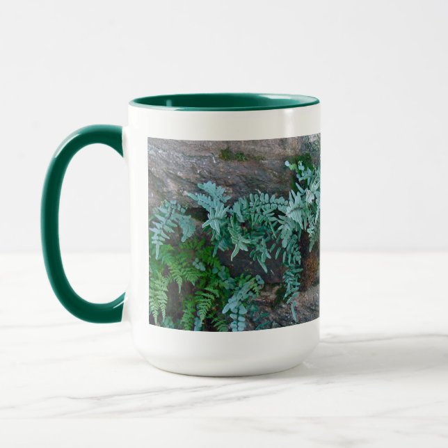 Caneca Ferns em Filadélfia (Esquerda)