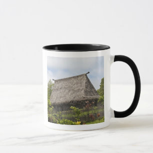 Caneca Fiji, Ilha Viti Levu. Centro Cultural Polinésio