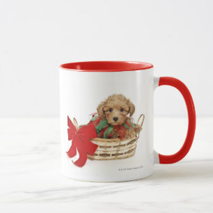 Caneca Filhote de cachorro da caniche que senta-se na
