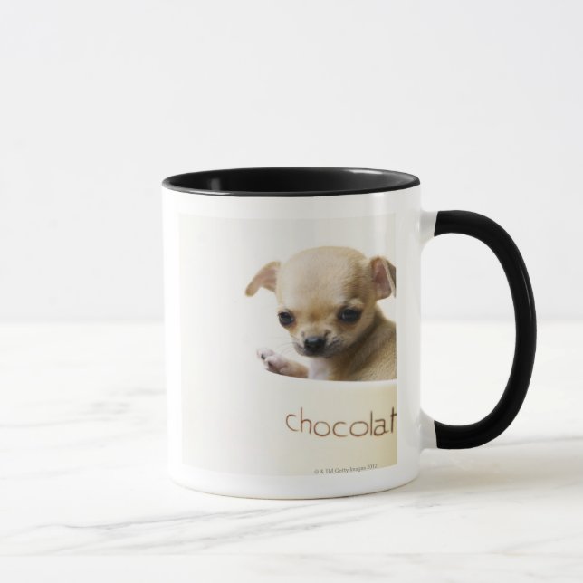 Caneca Filhote de cachorro da chihuahua na bacia (Direita)
