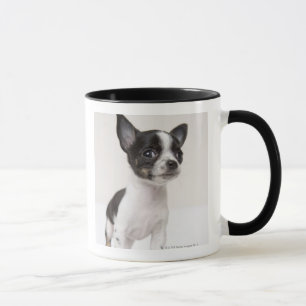 Caneca Filhote de cachorro de Chihuhua que está no tecid