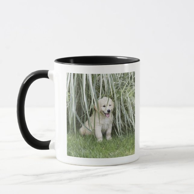 Caneca Filhote de cachorro de Goldendoodle que senta-se (Esquerda)