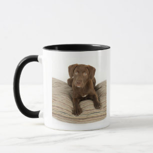 Caneca Filhote de cachorro de quatro meses do laboratório