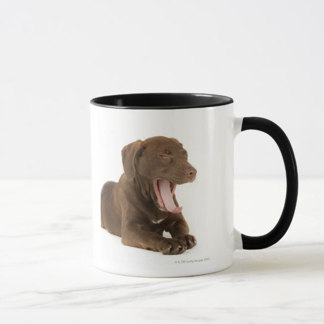Caneca Filhote de cachorro de quatro meses do laboratório (Direita)