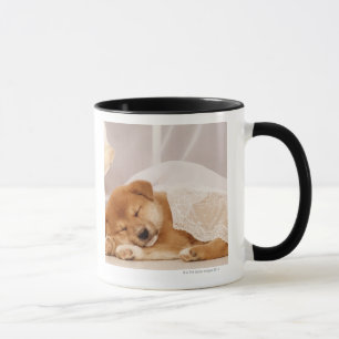 Caneca Filhote de cachorro de Shiba Inu que dorme sob uma