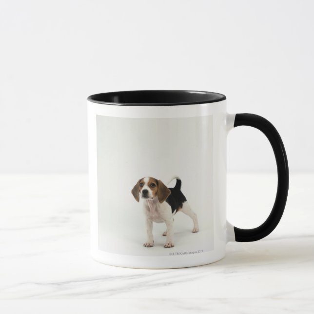 Caneca Filhote de cachorro do lebreiro (Direita)