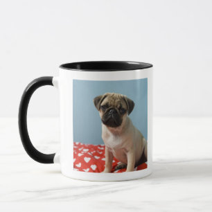Caneca Filhote de cachorro do Pug que senta-se na cama