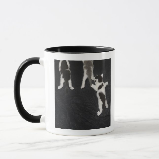 Caneca Filhote de cachorro ronco (Esquerda)