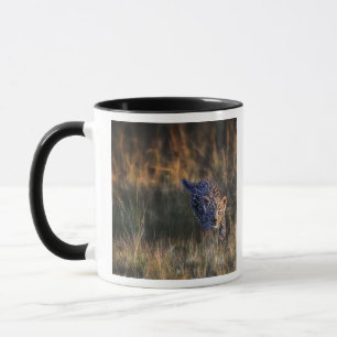 Caneca Filhote de leopardo Panthera Pardus