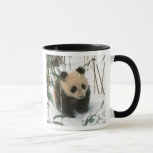Caneca Filhote de panda na neve, Wolong, Sichuan, China
