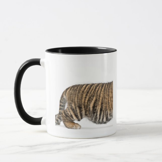 Caneca Filhote de tigre de Sumatran - sumatrae de tigris (Esquerda)