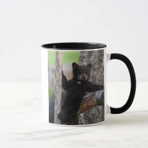 Caneca Filhote de Ursos Negros Deitado