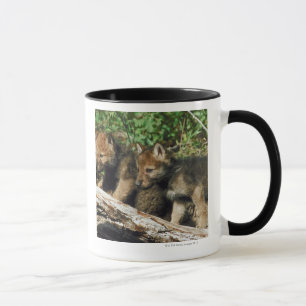 Caneca Filhotes de lobo da madeira
