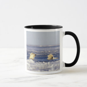 Caneca Filhotes de urso polar brincando