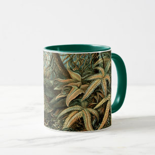 Caneca Filicinae por Ernst Haeckel, Plantas Vintage Fern