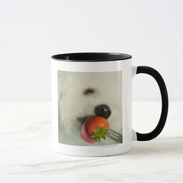 Caneca Fim-acima de um Bichon Frise que come uma morango (Direita)
