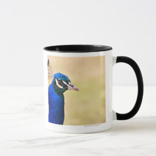Caneca Fim-acima de um pavão 2