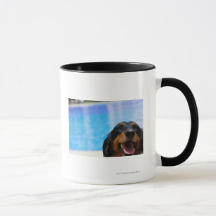 Caneca Fim-acima de uma ânsia do cão do Dachshund