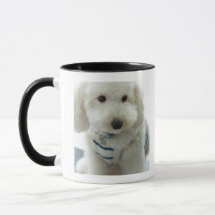 Caneca Fim-acima de uma caniche diminuta