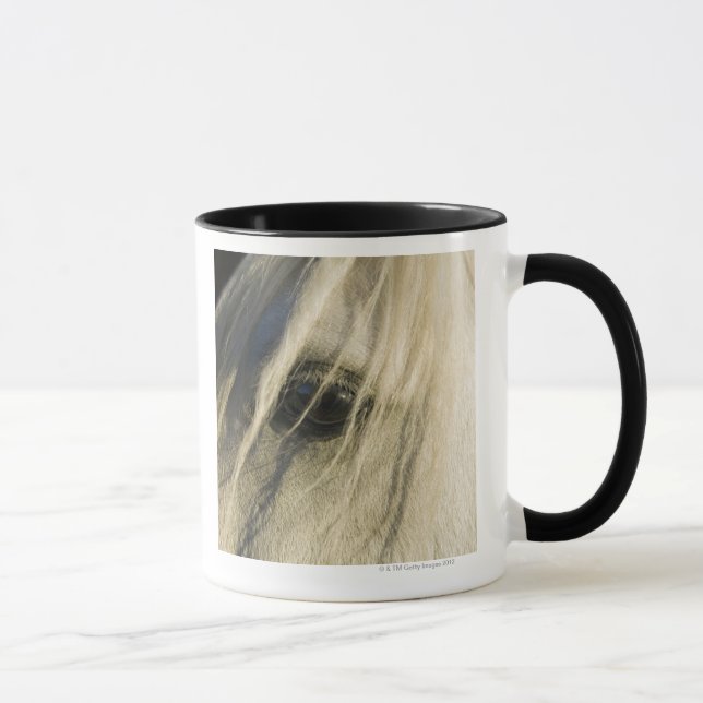 Caneca Fim-acima do olho do cavalo (Direita)