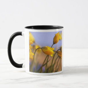 Caneca Fim-acima dos daffodils