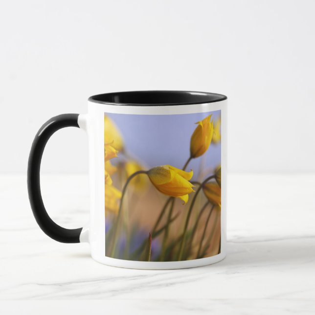 Caneca Fim-acima dos daffodils (Esquerda)