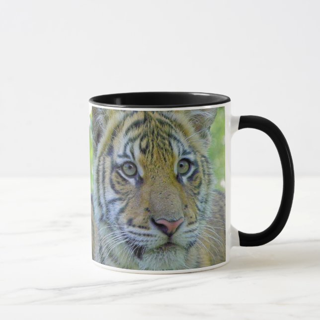 Caneca Fim de Cub de tigre acima do retrato (Direita)