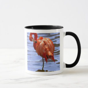 Caneca Flamingo em uma perna na água