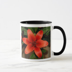 Caneca Flor alaranjada perfeita do lírio