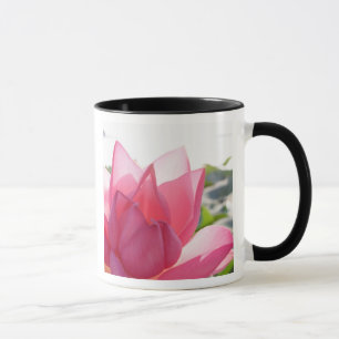 Caneca flor de lótus [Nelumbo speciosum] em plena