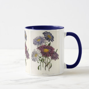 Caneca Floral Vintage, Flores Aster Roxo Antigas