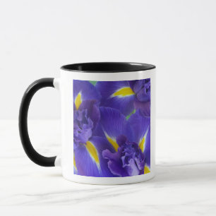 Caneca Flores de íris