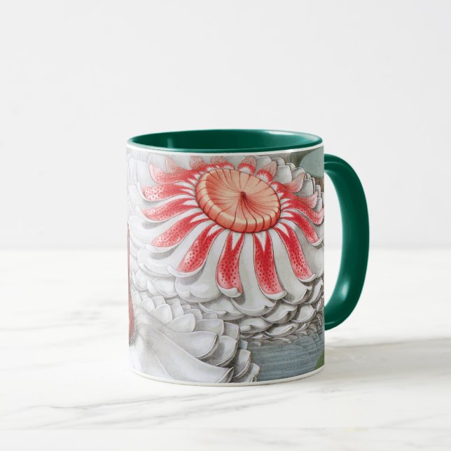 Caneca Flores de Nenúfar Antigos, Nenúfares em um Lago (Frente Esquerda)