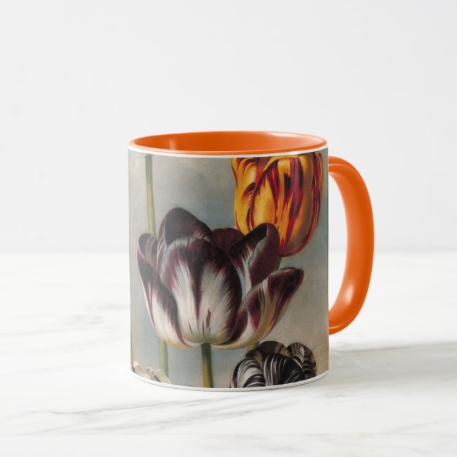 Caneca Flores de Tulipa Variegada Antiga em uma Paisagem (Frente Esquerda)