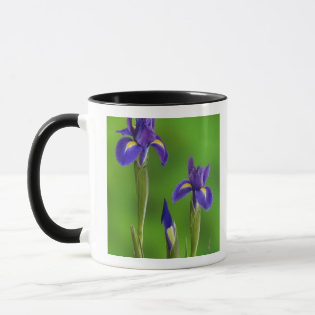 Caneca Flores Iris (Esquerda)
