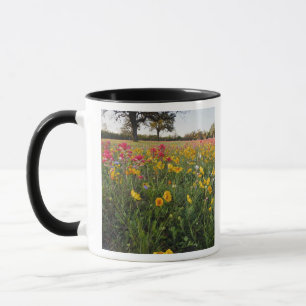 Caneca Flores selvagens na estrada no Texas, primavera