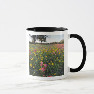 Caneca Flores silvestres à beira da estrada no Texas, pri