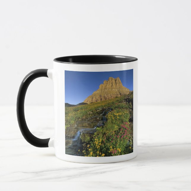 Caneca Flores silvestres alpinas & Mt Clements em Logan P (Esquerda)