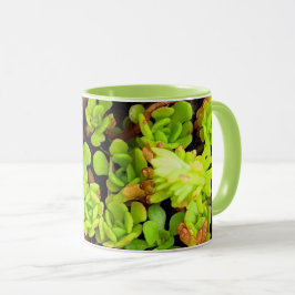 Caneca Flores Suculentas Verdes