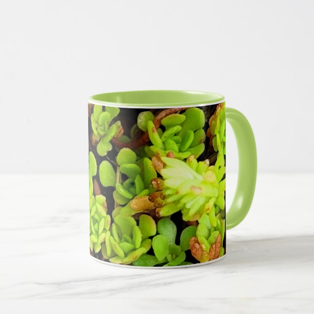 Caneca Flores Suculentas Verdes (Frente Esquerda)