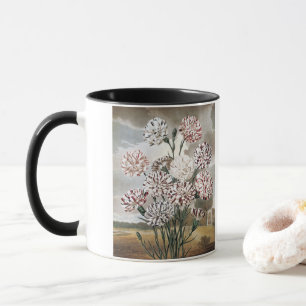 Caneca Flores Variegadas Vintage com Céu Cinza