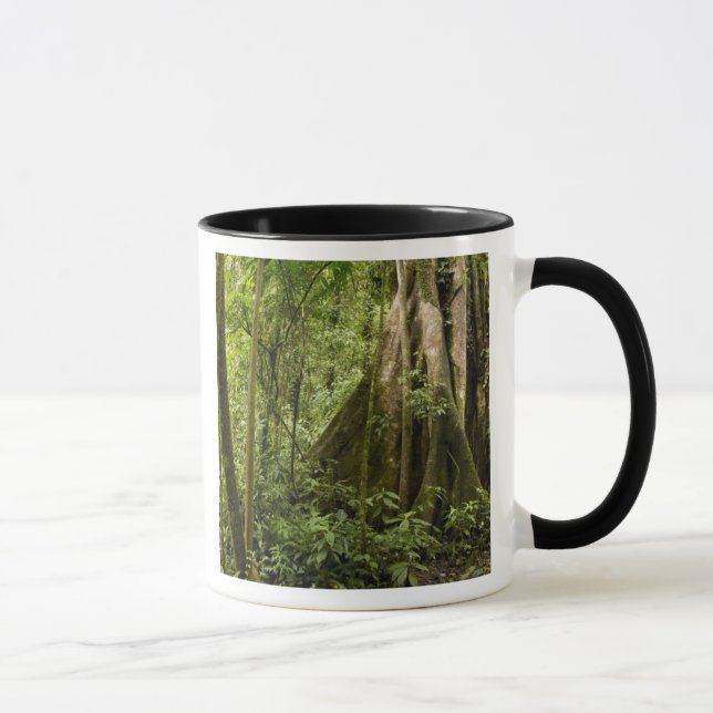 Caneca Floresta de nuvens, Bosque de Paz, Costa Rica (Direita)