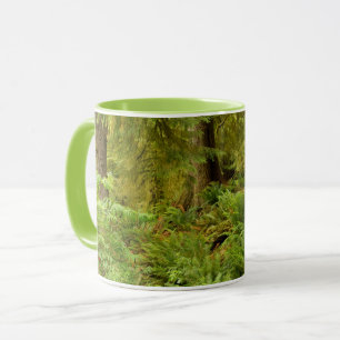 Caneca Floresta Exuberante & Samambaias   Parque Estadual