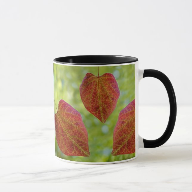 Caneca Folhas de Amor da Natureza (Direita)