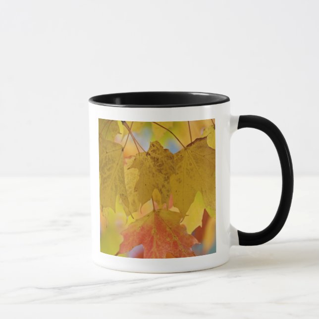 Caneca Folhas de bordo vermelhas e amarelas, no sul (Direita)